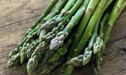 Langevine - Asperge Verte 1kg