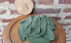 Ferme de Cernunnos - Feuilles fraiches de Sauge Officinale