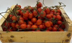 Le Panier du Producteur - Tomate Cerises - 1 Kg