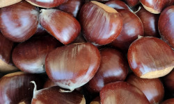 Gobert, l'abricot de 4 générations - Châtaignes Bouche de Betizac 2KG