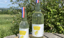 Ferme Sinsac - Lot de 6 bouteilles de pétillant de Mimosa sans alcool
