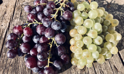 La Boite à Herbes - Duo Raisin Bio Blanc et Noir