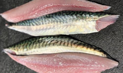 L'atelier des poissonniers - Filets de maquereaux 600g