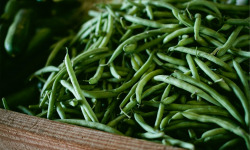 Le Châtaignier - Haricots verts - 1kg