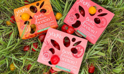 Agriloops - Assortiment de tomates Agriloops