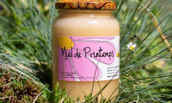 Ferme de la Paumerais - MIEL DE PRINTEMPS (x1) - 500 Gr