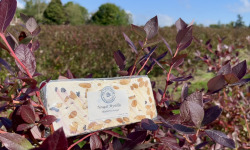 Myrtilles du Trimoulet - Nougat Myrtilles