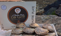 Jean Luc Le Gall Huîtres et Coquillages - Huitres Plates Moyennes x 24 PIECES