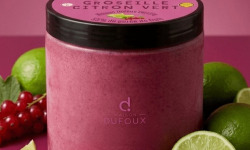 Maison Dufoux - Glace groseille/citron vert 55% de purée de fruit