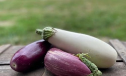 ChâteauFer - Aubergine