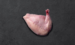 Des Poules et des Vignes à Bourgueil - 6 suprêmes de cailles