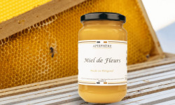 Apisphère - Miel de fleurs crémeux du Périgord 500g