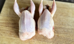 Ferme du Vidalies - 4 Cailles chaponnees - 900 gr