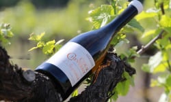 Domaine Daridan - Vin AOC Cour Cheverny Blanc 2020 "L'Inspiration"