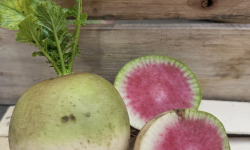 ChâteauFer - Radis Red meat 1kg