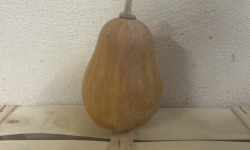 ChâteauFer - Courge - Sucrine du Berry 1kg