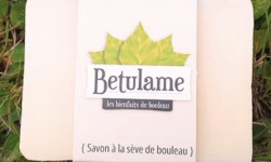 Betulame, les bienfaits du bouleau - Savon et shampoing (8+8)