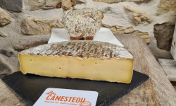 Lou Canesteou - Saint Nectaire fermier AOP 1kg