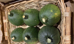 Ferme Sinsac - Courgette a la piece