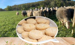 Dessine moi une brebis - Brebicou de brebis 3+1 - 400g