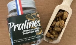 Les Graines de Louise - Pralines de courge pot 100gr (lot de 12)