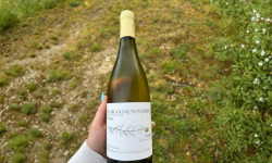 Domaine Céline Coté - Bourgogne Tonnerre Barrique 2025