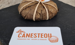 Lou Canesteou - Banon AOP