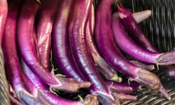 ChâteauFer - Aubergine Japonaise 500g