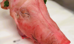 Ferme de la Paumerais - TETE DE PORC DEMIE (x1) - 2 Kg