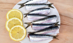 La Criée d'à Côté - Sardines Bretonnes étêtées vidées - 1 kg