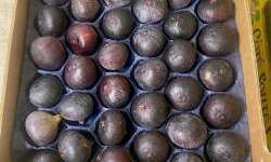 L’Oliveraie du Coudon - FIGUES  AOP SOLLIES  5 COLIS de (1kg600 1k800 env)