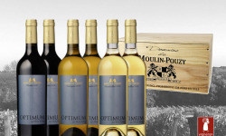 Vignobles Fabien Castaing - Caisse Bois Optimum Grands Vins Domaine de Moulin-Pouzy