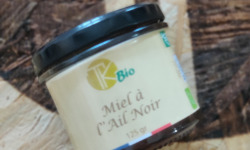 TK Bio - The Kefir et Kombucha Compagnie - Miel à l'ail noir Bio 125 gr