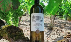 Château Jouvente - Le Blanc confidentiel de Jouvente - AOC Graves 2020 - 1 Bouteille