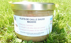 Cailles de Chanteloup - Filets de cailles sauce Madère