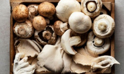 La Carrière du Bienheureux - Coffret champignons Pleurote et Shiitaké - 2x1kg