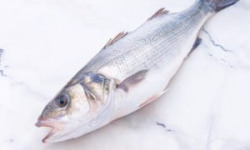 Poissonnerie La Piriacaise - Bar de pêche  (chalut)
