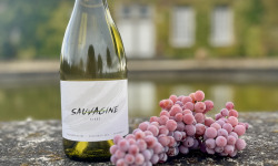 Domaine Sauvagine - Sauvagine Blanc - Vin Bio & cépage résistant