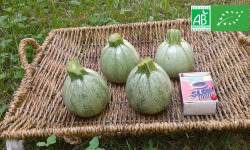 Les Jardins de Karine - Courgette 'Ronde de Nice' petite - 1kg