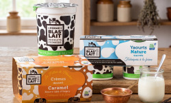 La Ferme de Blas'Lait - Lot crèmes desserts caramel beurre salé  x4 + yaourt nature sucrés x4 +  yaourt sucrés aromatisés x4