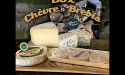 Les Affineurs des Volcans - Coffret Cadeau Chèvre et Brebis 4 Fromages