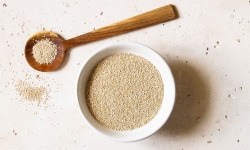 BERRY GRAINES - Quinoa blanc 6M HVE origine France - sac 5Kg x1