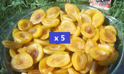 LES JARDINS DE KARINE - Quetsche jaune en quartier surgelée - 5kg