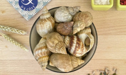 La Criée d'à Côté - Bulots Vivants - 1 Kg
