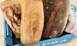 Le Pain d'Hervé - Panier de 3 Pains Nutrition-Santé