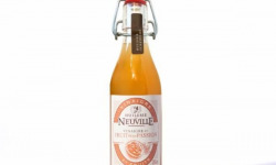 Huilerie de Neuville - Vinaigre & Fruit de la Passion 25cl