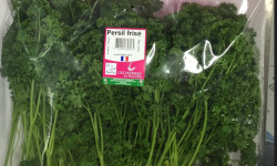 Les Herbes du Roussillon - Persil Frisé Frais - 500g