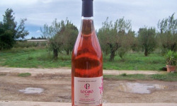 Domaine Pons Gralet - Vin Rosé IGP - Cotes Catalanes 2024 Bio x6