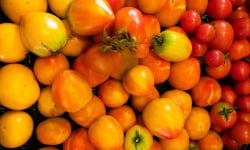 ChâteauFer - Tomate Ancienne Mix