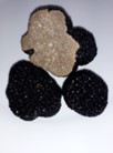 Ferme de Pourcier - Truffe Fraîche - Truffe d'été 100g